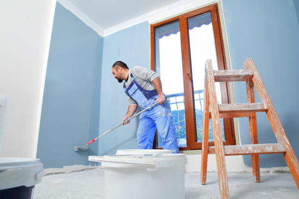 Best Black Mold Removal  in Southside, AL