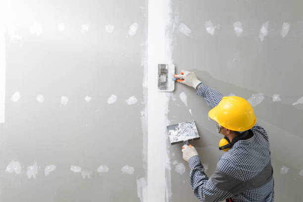 Best Mold Documentation for Insurance Claims  in Southside, AL