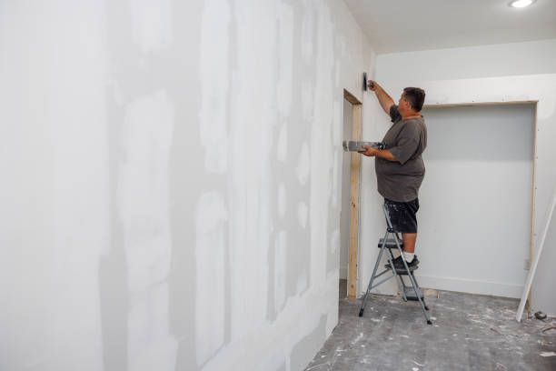 Best Mold Damage Restoration  in Southside, AL