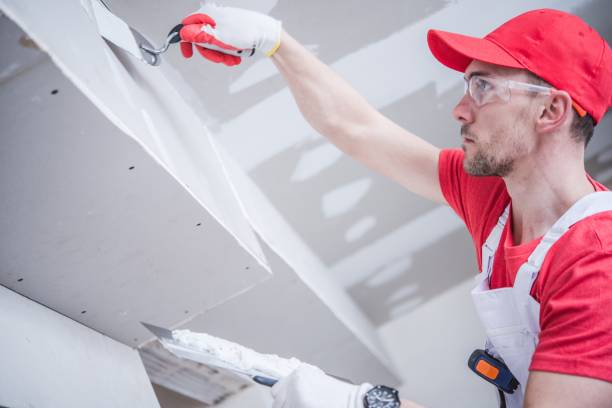 Best Mold Documentation for Insurance Claims  in Southside, AL