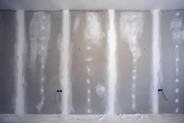 Best Attic Mold Removal  in Southside, AL